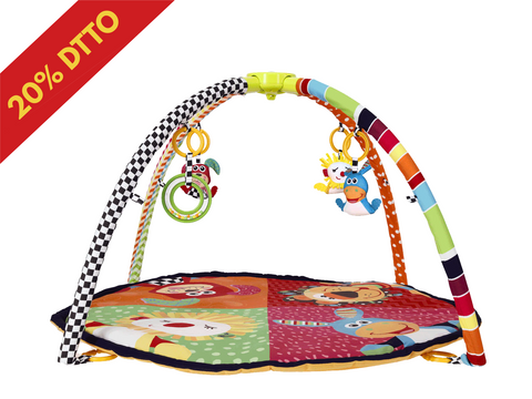 Gimnasio Plegable